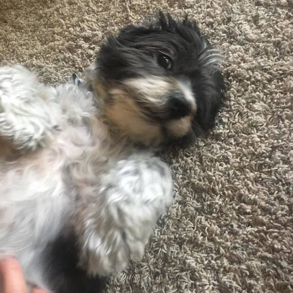 Meet your Posher, Kathi - Picture 1 of 1